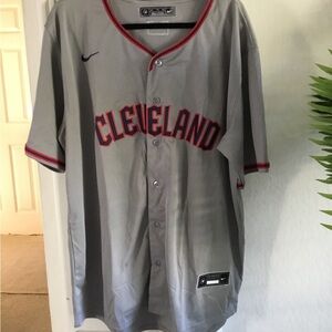 Nike Gray Cleveland Baseball Jersey Jose Ramirez